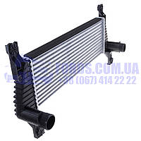 Інтеркулер FORD RANGER 2012- (1725623/EB3G9L440CB/ES40440) DP GROUP