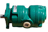 Насос Г12-31М Г12-32М Г12-33М Г12-31АМ Г12-32АМ Г12-33АМ, фото 6