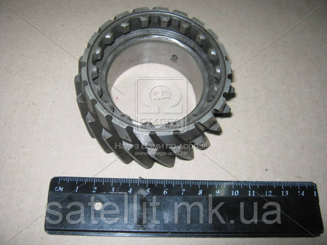 Шестірня 4пер. втор вала ЗІЛ,ПАЗ,МАЗ-4370 (Z=21), 3205.70-1701181, фото 1