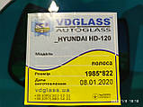 Hyundai HD 120 лобове скло, триплекс, фото 4
