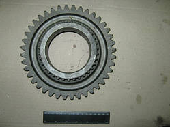 Шестірня КПП Т-150 (Z = 40/34)