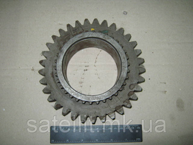 Шестірня КПП Т-150 (Z = 33/34), 150М.37.701