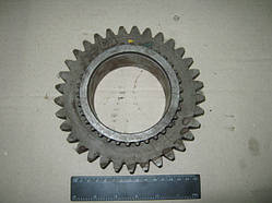 Шестерня КПП Т-150 (Z = 33/34),