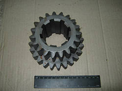 Шестірня КПП Т-150 (Z = 24/19),