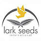 Блейз F1 250 шт Lark Seeds Індетермінантний Томат Насіння (Індетермінантний Томат Насіння), фото 4