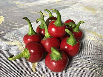 Глобус F1 500 шт Lark Seeds Перець Насіння (Перец Семена)