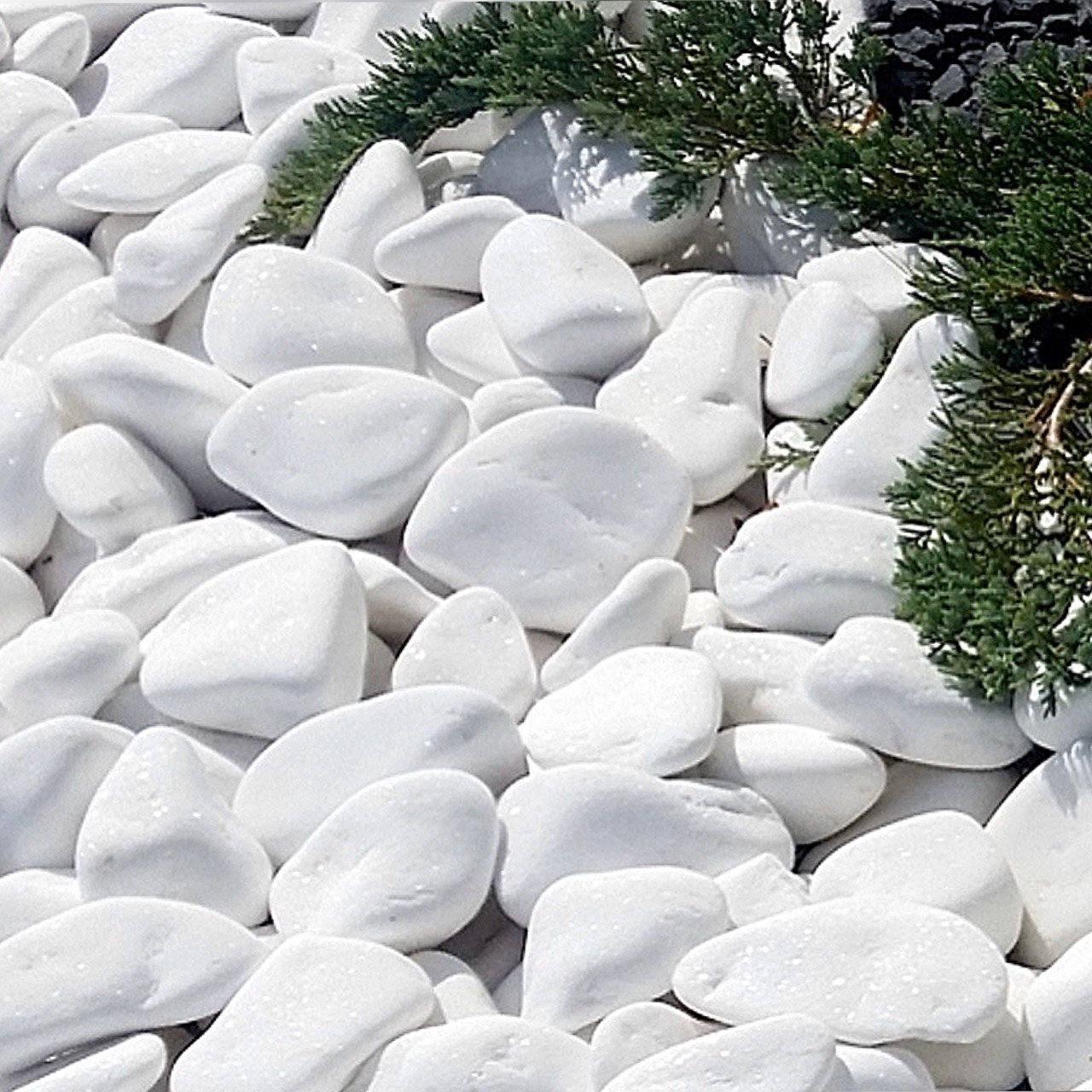 Галька Белая Тасос (25 Кг) — Купить Недорого на Bigl.ua (1157120279)