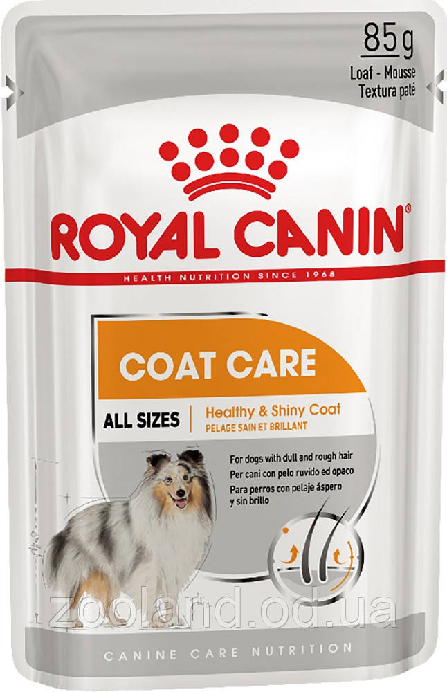 Royal Canin Coat Care All Sizes паштет, 12 шт