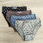 Труси дитячі для хлопчика бавовна прямокутник Natural Club Польща, фото 2