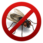 Боротьба з мухами