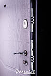 Двері "Портала" — модель Спліт — Лозана, фото 2