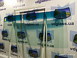 TATA 613 лобове скло, триплекс, фото 3