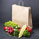 Паперовий крафт пакет з ручками 260*150*350 мм бурий пакет з крафт-паперу з крученими ручками, упаковка 600 шт, фото 2