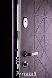 Двері "Портала" — модель Граф 4 — Граф 2, фото 3
