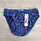 Труси бавовна для хлопчика Кухля Польща Natural Club, фото 4