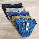 Набір 3 шт. труси для хлопчика бавовна Кухля Польща Трусики Natural Club, фото 7