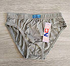 Набір 3 шт. труси для хлопчика бавовна Кухля Польща Трусики Natural Club, фото 6