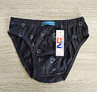 Набір 3 шт. труси для хлопчика бавовна Кухля Польща Трусики Natural Club, фото 2