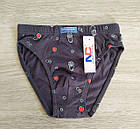 Труси бавовна для хлопчика Ключики Польща Трусики Natural Club, фото 2