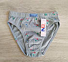 Труси бавовна для хлопчика Ключики Польща Трусики Natural Club, фото 3