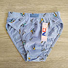 Труси бавовна для хлопчика Ключики Польща Трусики Natural Club, фото 5