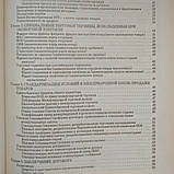 Експорт:право і практика міжнародної торгівлі Шмиттгофф К., фото 3