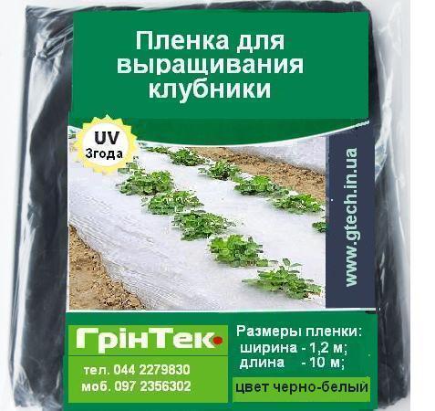 Плівка для полуниці (1,2х10м) чорно-біла