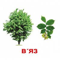 Картки Домана ДЕРЕВА Ламіновані великі 20 (укр) 16.5х19.5см