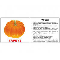 Картки Домана Овочі міні 40 (укр) 8х10см