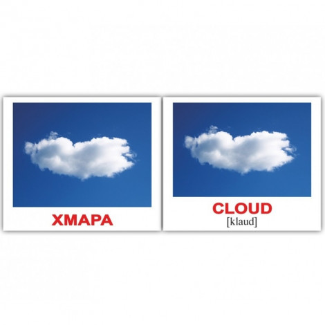 Набір 40 карток Домана Вундеркінд з пелюшок Природа українсько англійські, фото 1