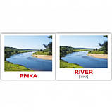 Набір 40 карток Домана Вундеркінд з пелюшок Природа українсько англійські, фото 3