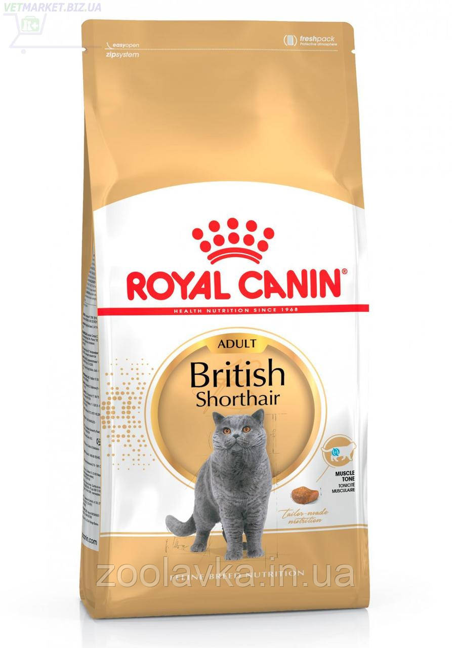 Royal Canin Adult British Shorthair для дорослих кішок породи Британська короткошерста на вагу, 1 кг