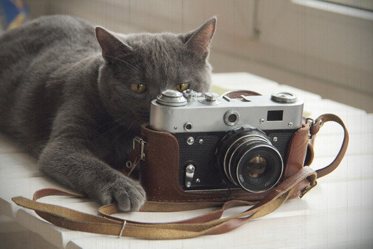 Листівка "Фотоапарат"