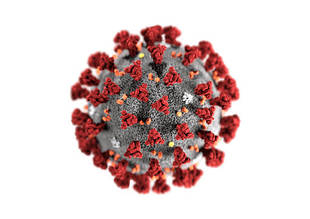 COVID-19 (тести для визначення коронавіруса, аналізатор)