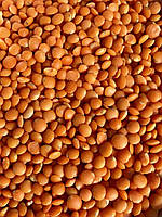 Сочевиця органічна 1 кг