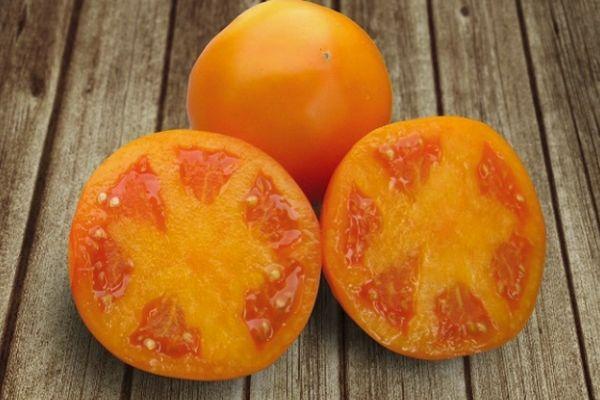 Айсан F1 1000 шт Kitano Seeds Томат Детермінантний Насіння (Томат Детермінантний Насіння)