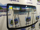 ГАЗ 33021, 2705, Газель лобове скло триплекс, від українського виробника автоскла, фото 4