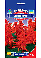 Сальвія Алегро насіння GL Seeds