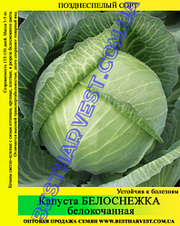 Насіння капусти Білосніжка 10 кг (мішок)