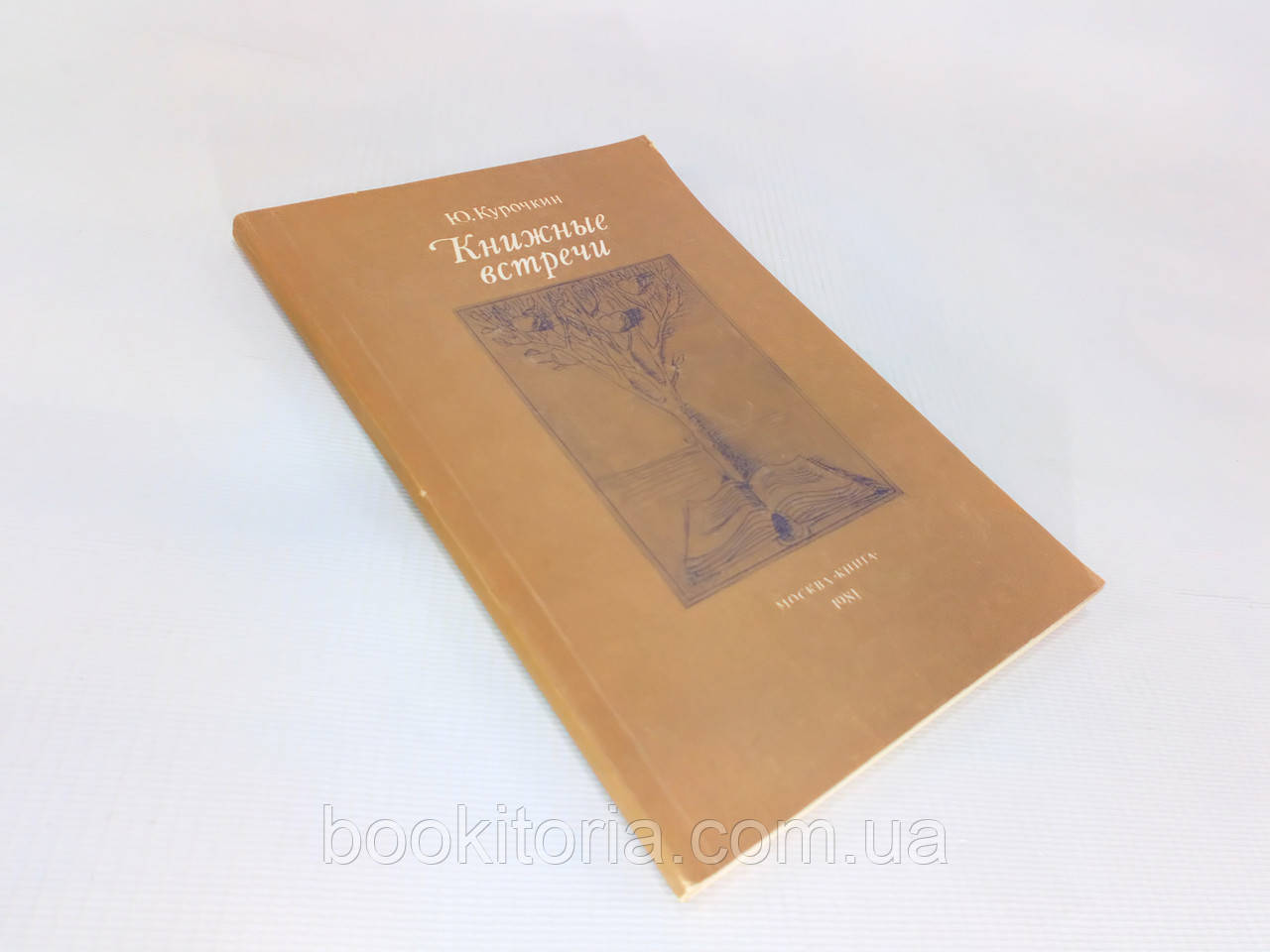 Курочин Ю. Книжні зустрічі (б/у)., фото 1
