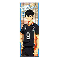 Магніт Волейбол!! | Haikyuu!!