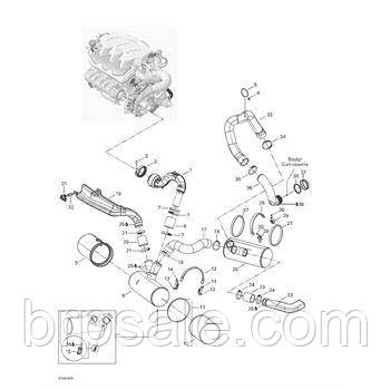 Вихлопної шланг Sea-Doo BRP Exhaust hose