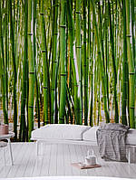 Шпалери вінілові Grandeco One roll one motif 2 A36901 панно мурал 3д бамбуковий ліс зелений салатовий