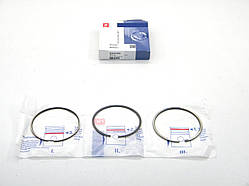 Поршневі кільця (1 циліндр)(+0.50) на Рено Майстер 05,2005-> 2.5 dCi - NPR (Німеччина) — 9385150