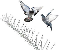 Шипи захист від голубів для підвіконня, даху, паркану, кондиціонера, реклами. 50 шипів довжиною 50 см