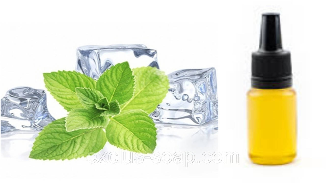 Ментол рідкий-10 мл, фото 1