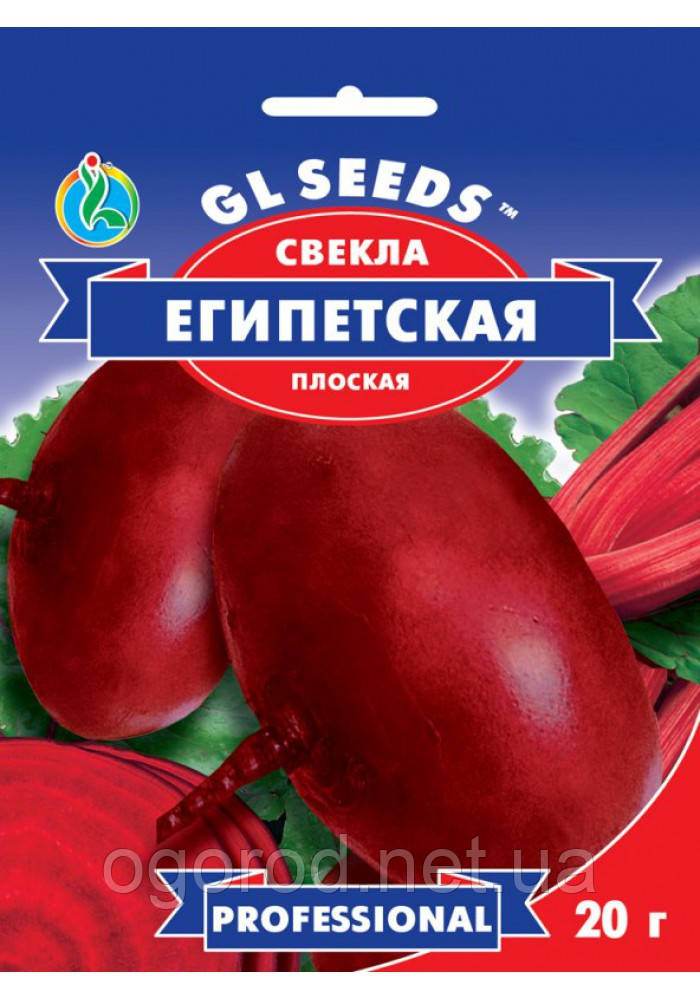Буряк Єгипетський насіння GL Seeds