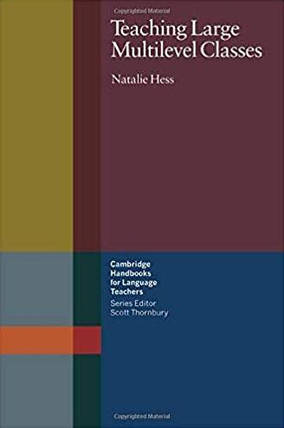 Teaching Large Multilevel Classes, фото 1