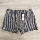 Чоловічі труси боксери шортами лайт Natural Club горизонтальна лінія Польща, фото 10