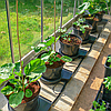 Система автополиву Plant!t Gogro 15 л 2 Pot System з місткістю 45 л, фото 9